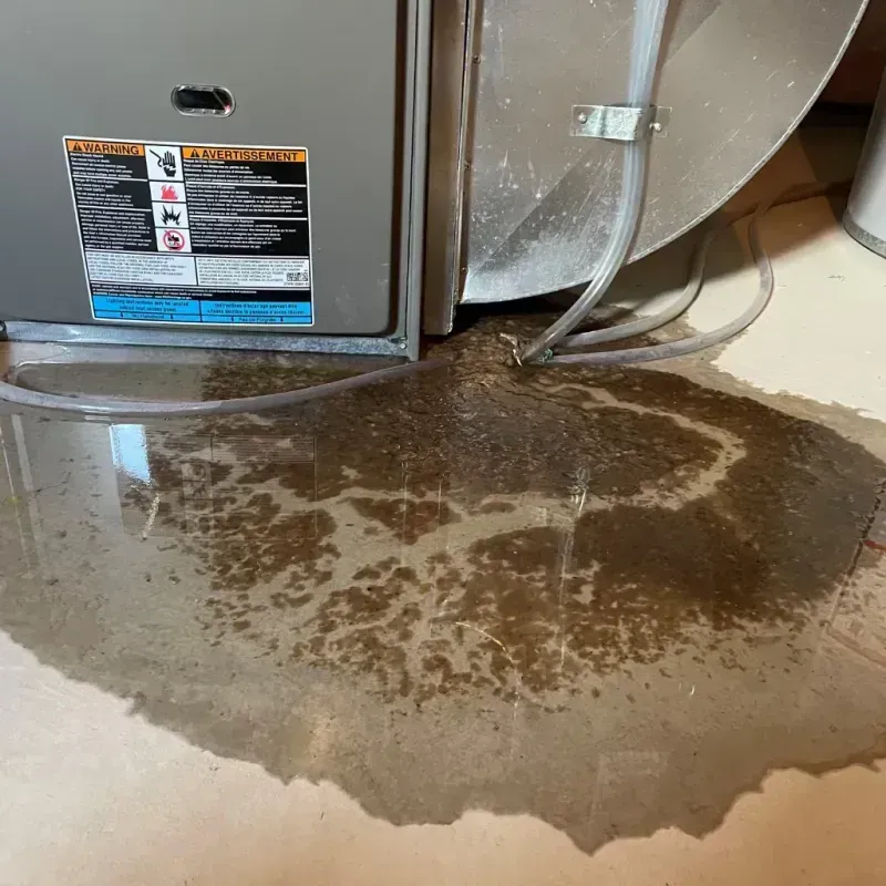 Appliance Leak Cleanup in North Kingsville, OH